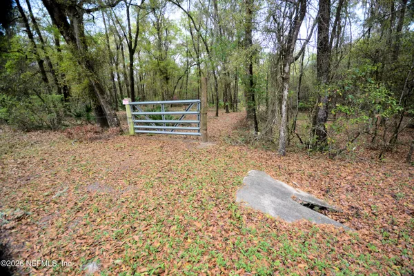 a view of backyard with green space