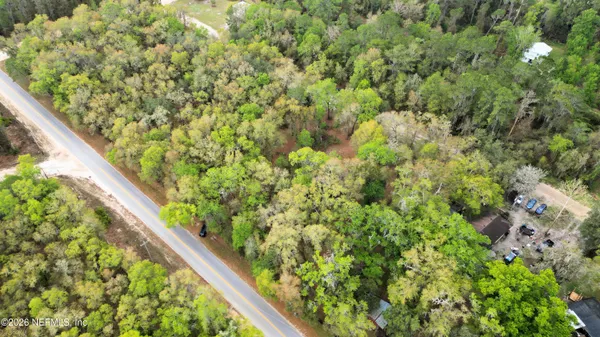 a view of a garden with plants