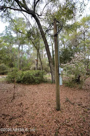 a view of outdoor space with trees
