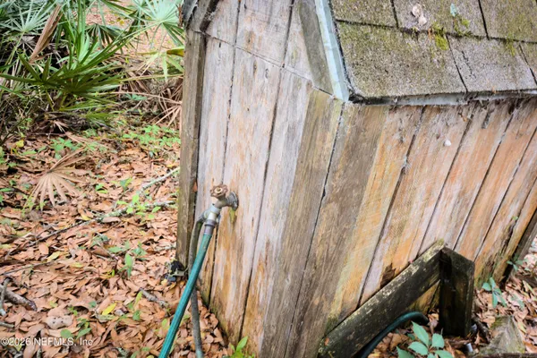 a view of a forest with trees in the background