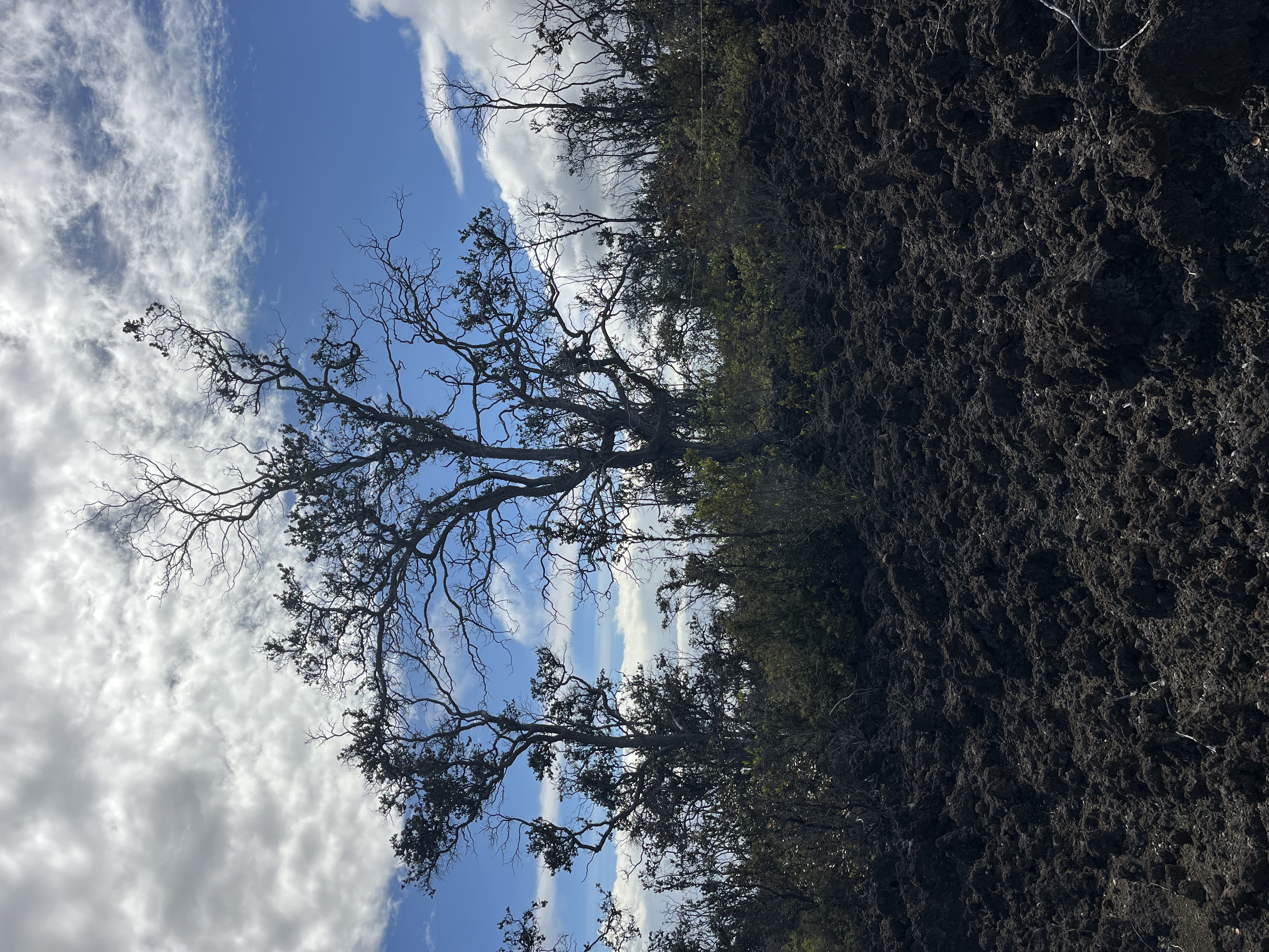 6 Island Boulevard Ocean View, HI 96704 - Photo 2 of 5 a view of a yard
