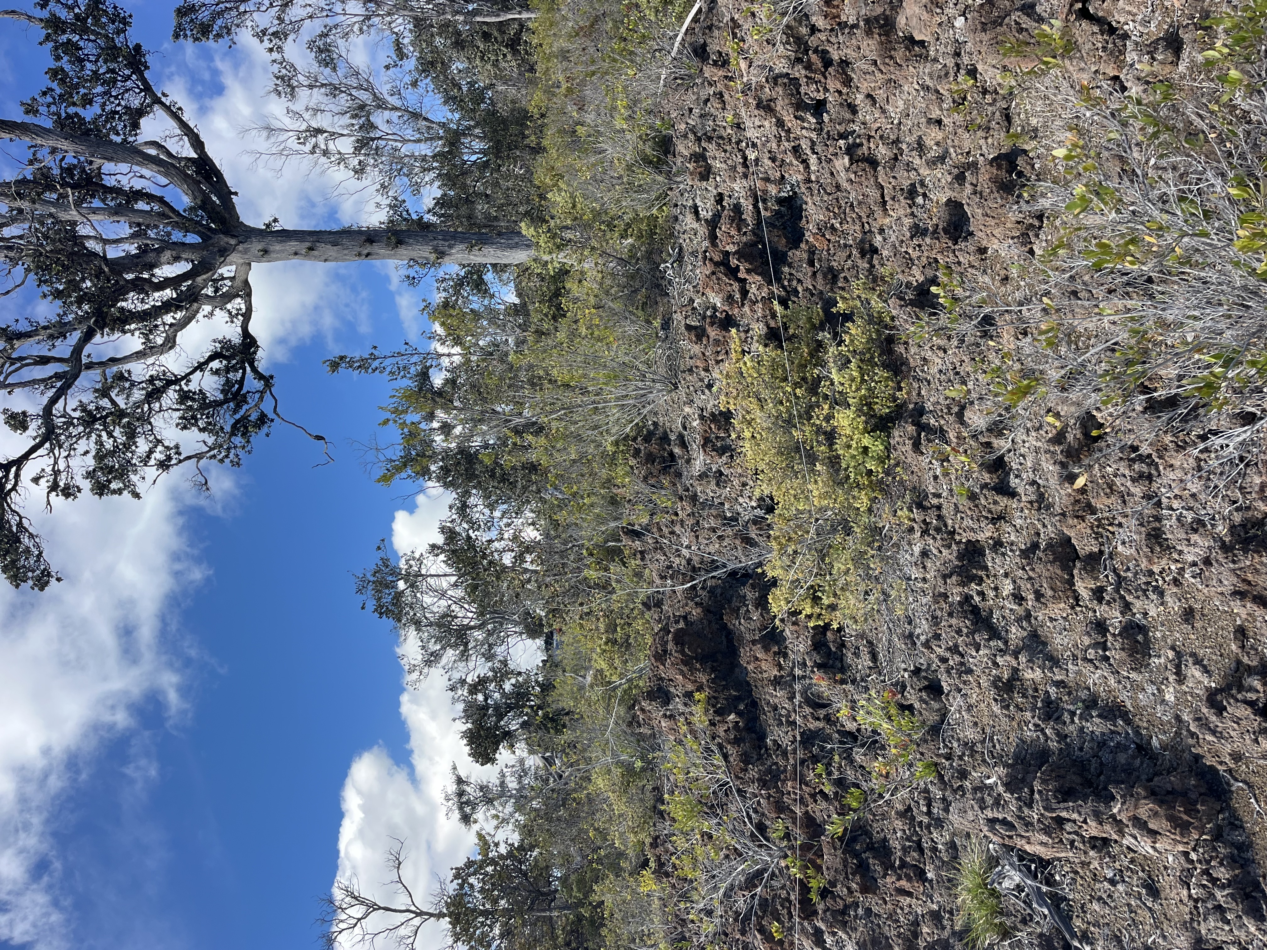 6 Island Boulevard Ocean View, HI 96704 - Photo 5 of 5 a view of a house with a mountain and trees