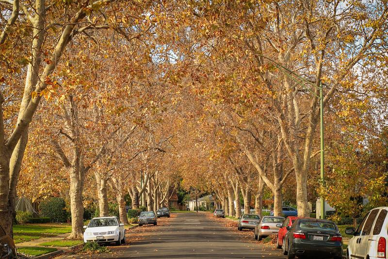 1059 Camino Ramon San Jose, CA 95125 - Photo 35 of 41