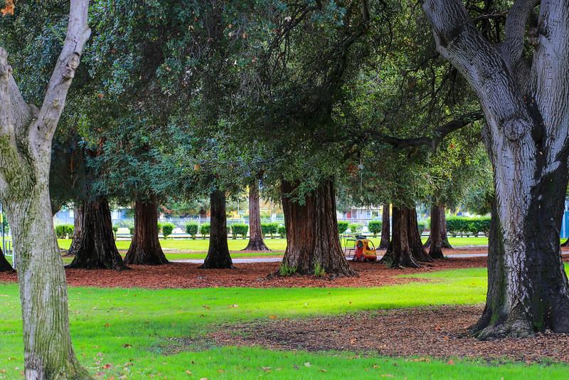 1059 Camino Ramon San Jose, CA 95125 - Photo 37 of 41