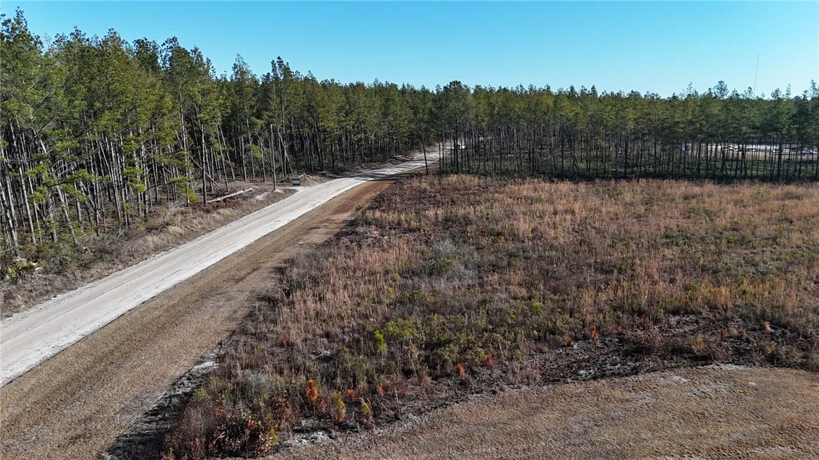 7291 Grey Hawk Road Millwood, GA 31552 - Photo 57 of 69