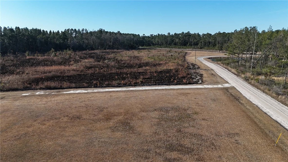 7291 Grey Hawk Road Millwood, GA 31552 - Photo 58 of 69