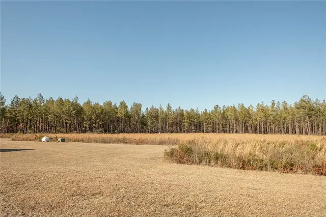 $740,000 | 7291 Grey Hawk Road, Millwood, GA 31552