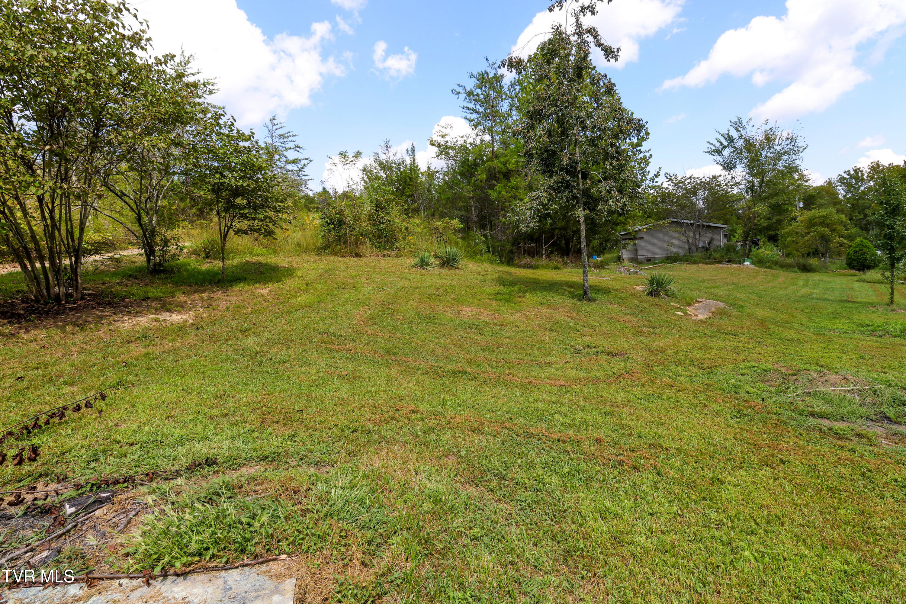 174 Coates Road Bulls Gap, TN 37711 - Photo 7 of 37 AM0A5873_1