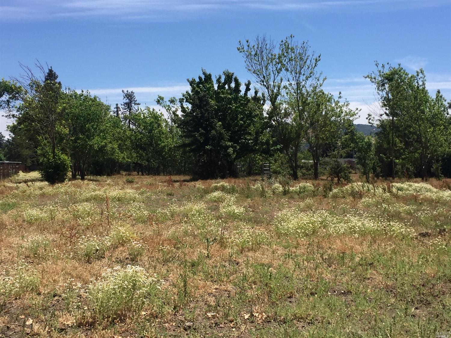 Restricted Address Santa Rosa, CA 95407 - Photo 1 of 14 a backyard of a house with lots of green space