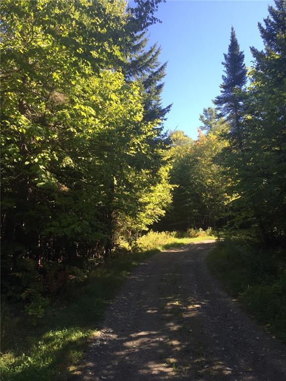 Tbd Back Forty West Forks, ME 04985 - Photo 2 of 10 driveway through the plot.