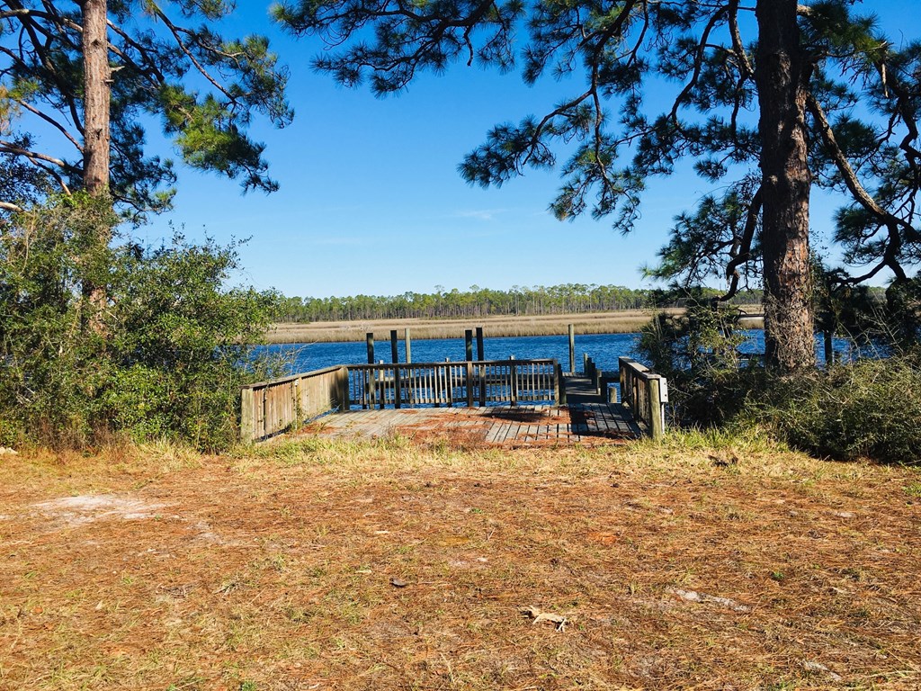 499 River Road Carrabelle, FL 32322 - Photo 4 of 21 Gallery Image 4