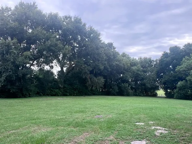 a view of a park