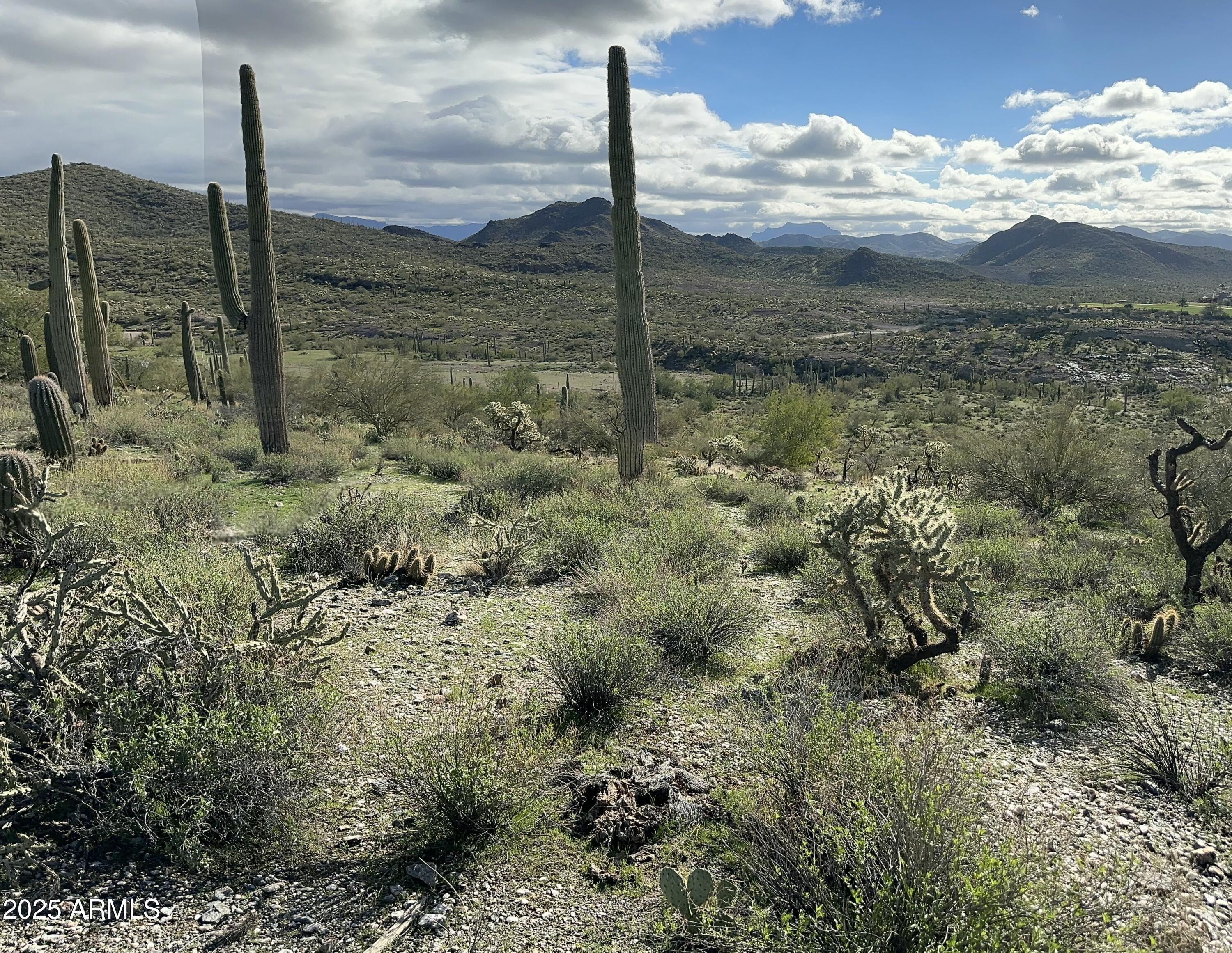 0 North Angel Basin Road, Unit 1 Gold Canyon, AZ 85118 - Photo 3 of 6
