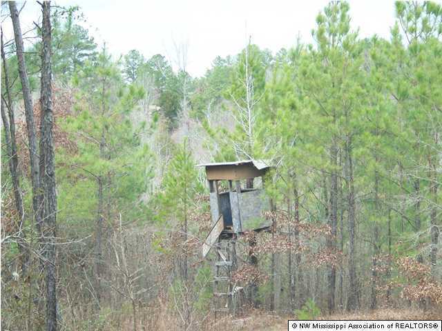 3199 Callicutt Road Waterford, MS 38685 - Photo 5 of 6 Additional Photo