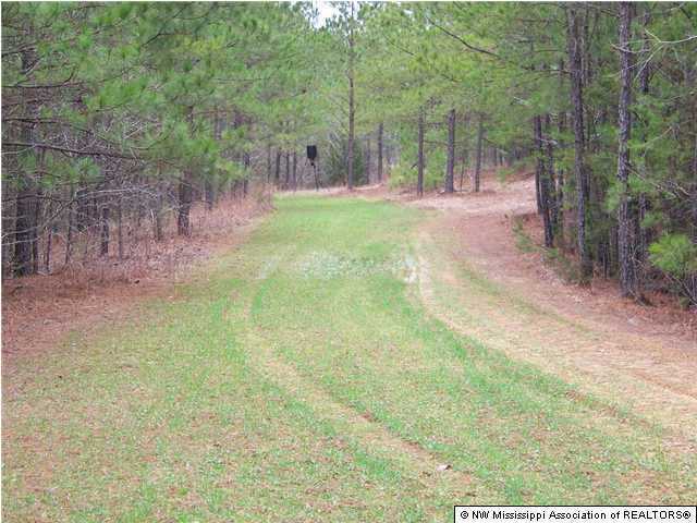 3199 Callicutt Road Waterford, MS 38685 - Photo 6 of 6 Additional Photo