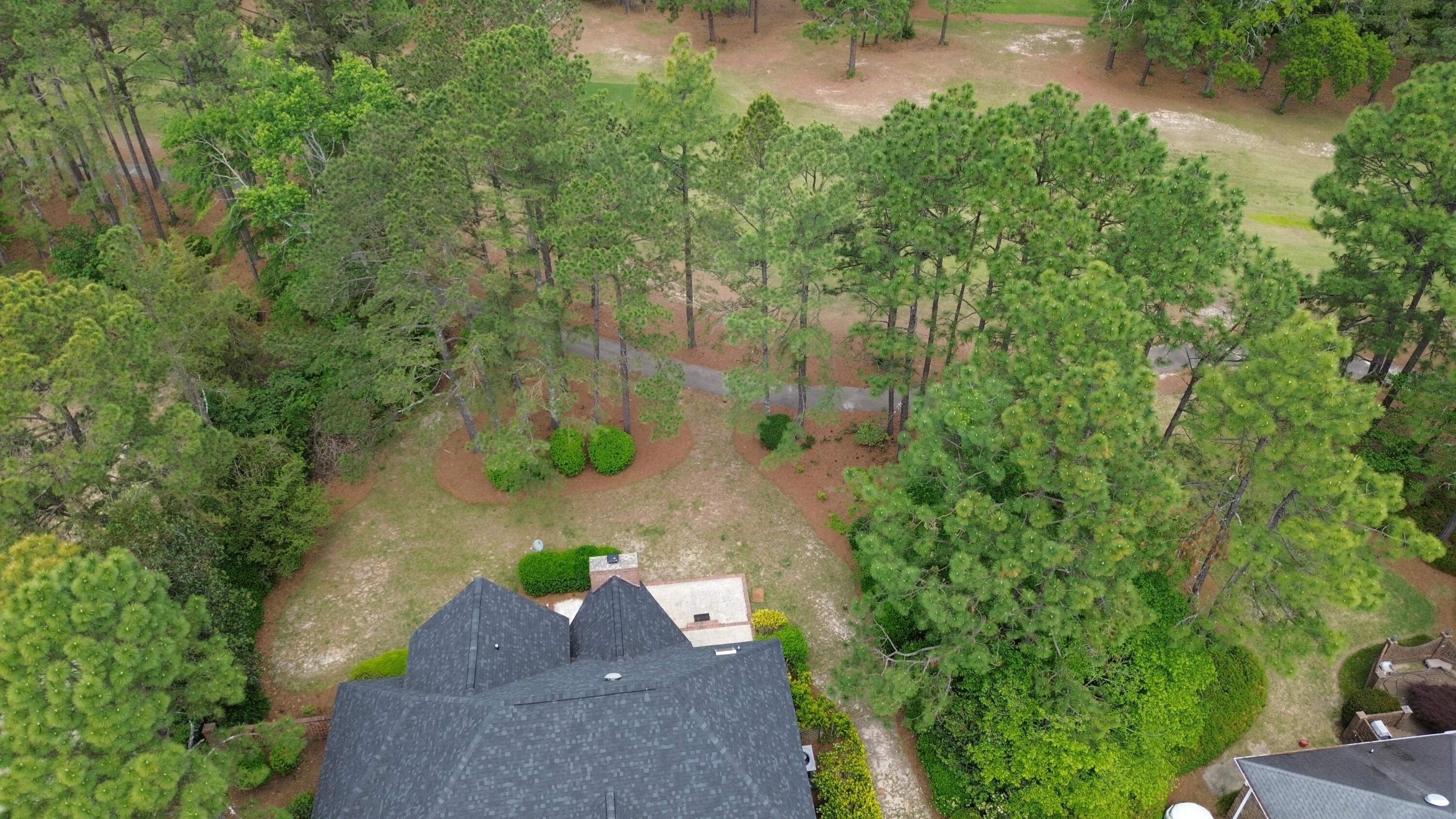 917 Holley Lake Road Aiken, SC 29803 - Photo 63 of 69