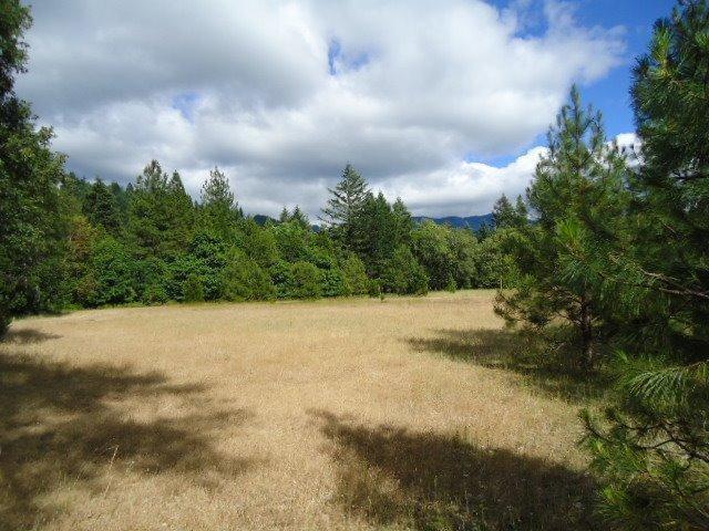 715 Thompson Creek Road Selma, OR 97538 - Photo 3 of 8 Additional Photo