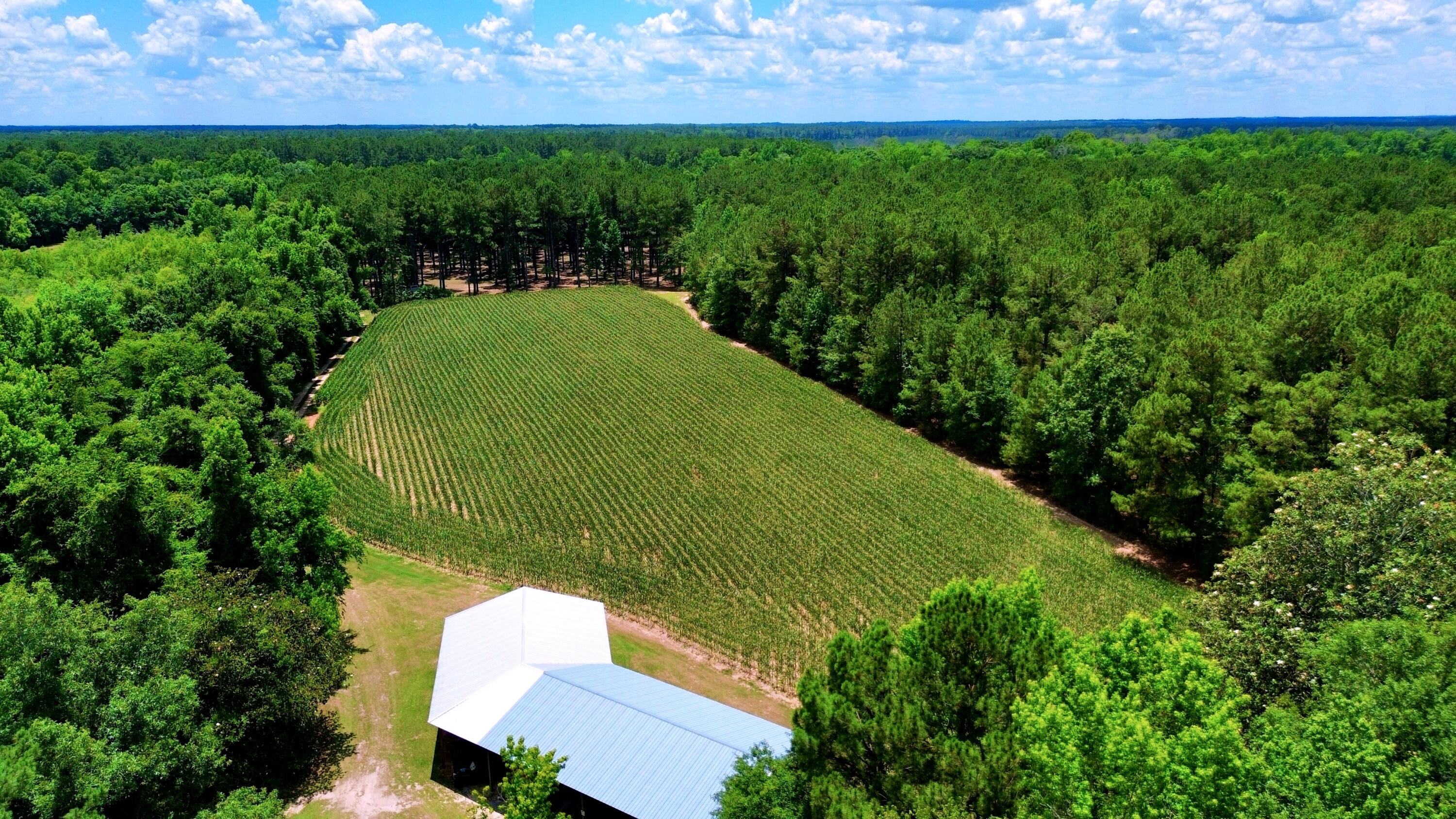 1970 Cross Swamp Road Islandton, SC 29929 - Photo 105 of 150