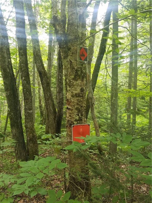 0 Dunbar Road Thomaston, ME 04861 - Photo 6 of 6 Existing snowmobile trail on lot