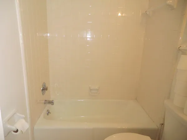 a bathroom with a bathtub and shower