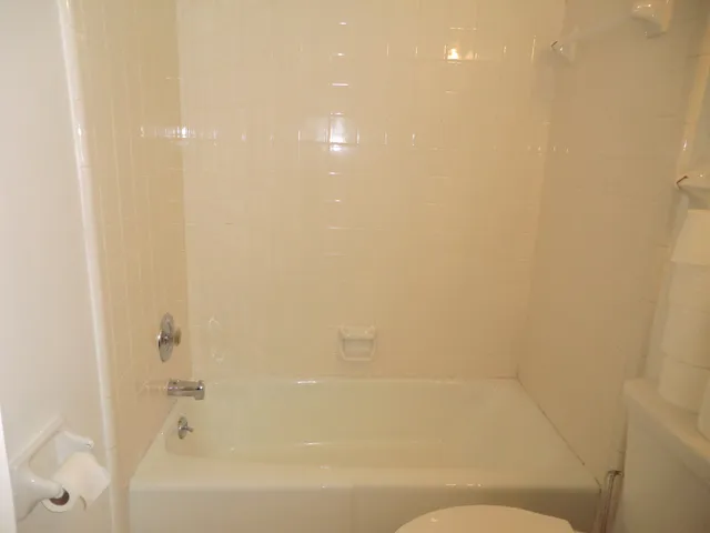 a bathroom with a bathtub and shower