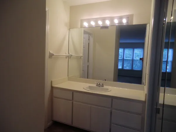 a bathroom with a sink double vanity and a mirror