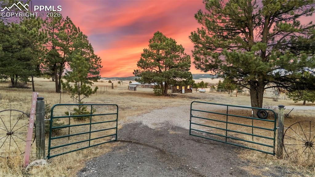 18250 Smokey Pine Road Peyton, CO 80831 - Photo 2 of 50