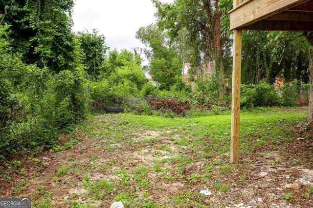 a view of a yard with a tree