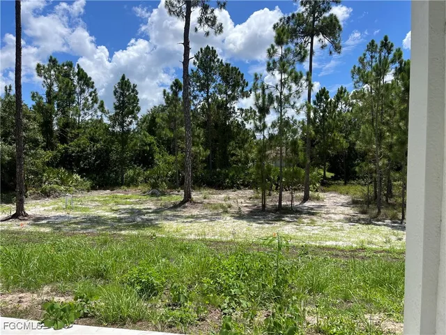a view of a yard with plants and trees