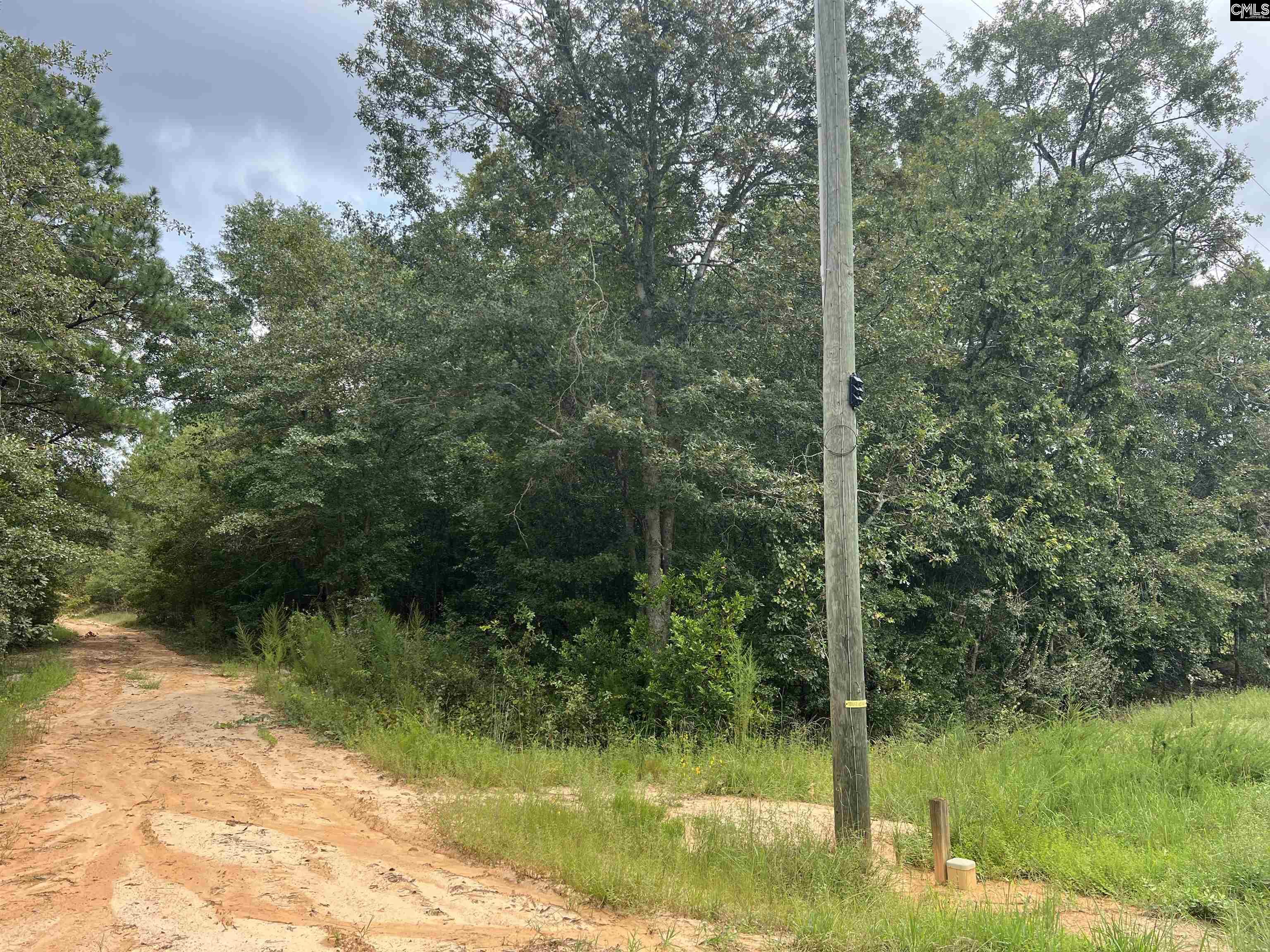 0 Cliff Road Pelion, SC 29123 - Photo 3 of 28