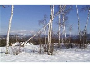 12 Highpoint Road Conway, NH 03818 - Photo 5 of 7