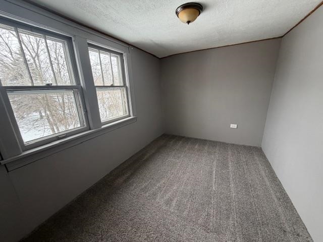 824 12th Street North Virginia, MN 55792 - Photo 17 of 34 Unfurnished room featuring carpet floors and a textured ceiling