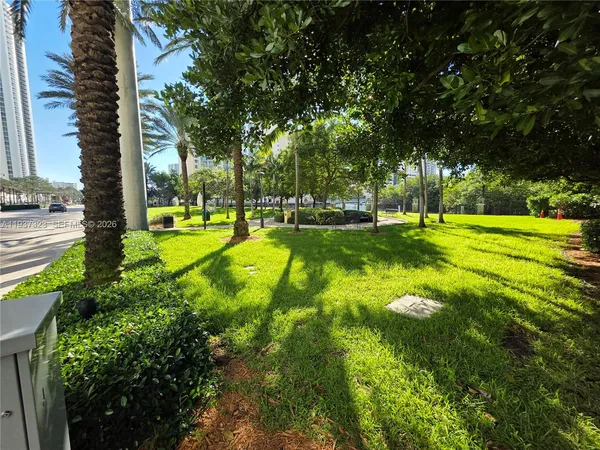 a view of a park with large trees