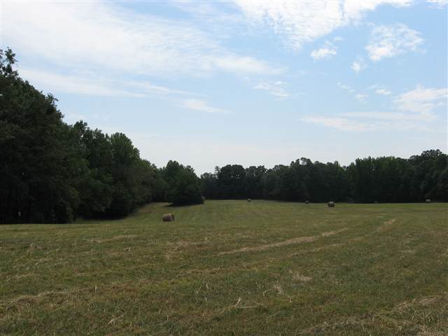 2 Watson Road Fountain Inn, SC 29644 - Photo 5 of 9