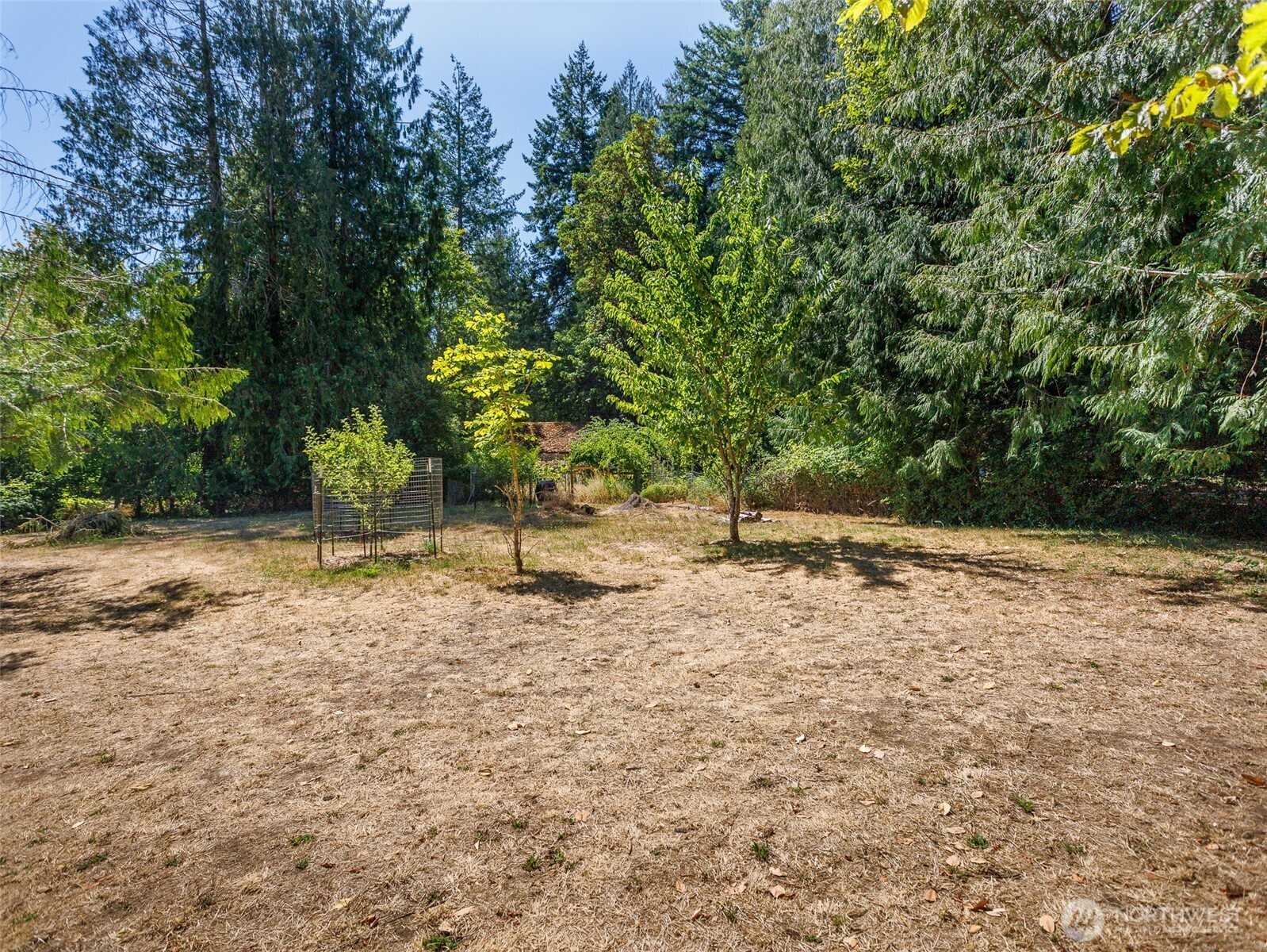 7813 Johnson Point Road Northeast Olympia, WA 98516 - Photo 19 of 22 Gallery Image 19