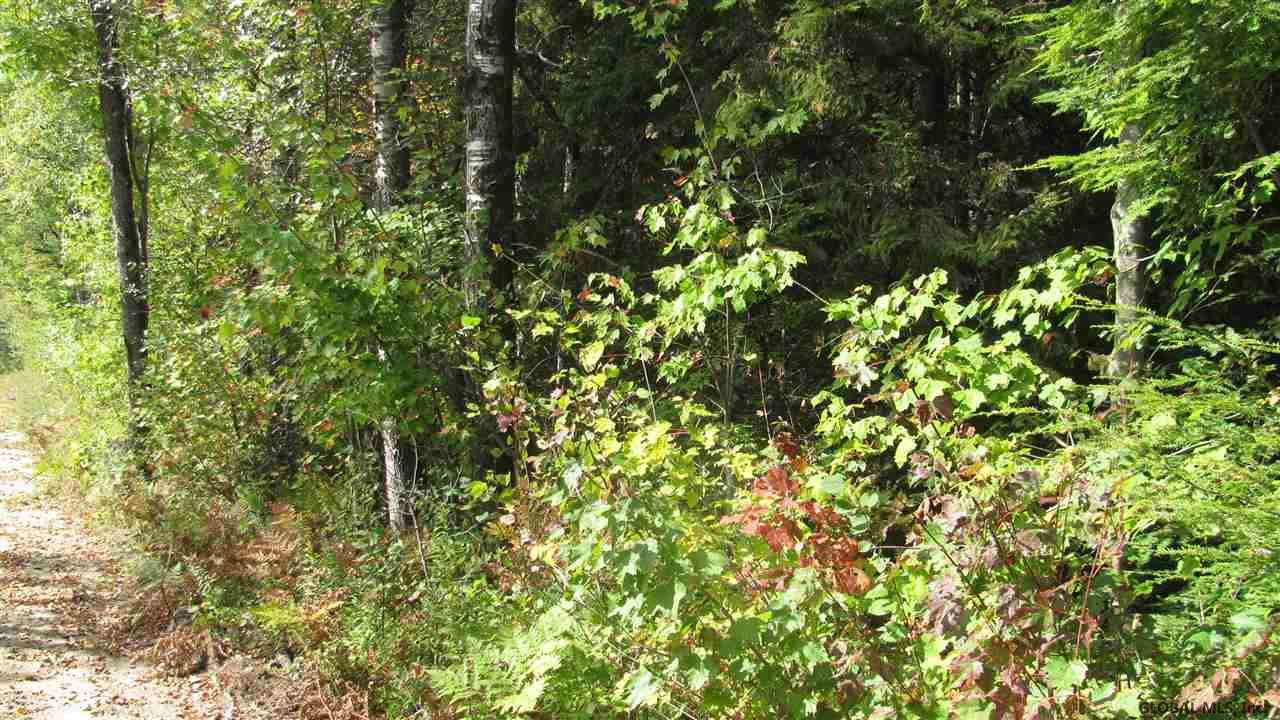 0 Middle Sprite Road Dolgeville, NY 13329 - Photo 3 of 4 Photo 3