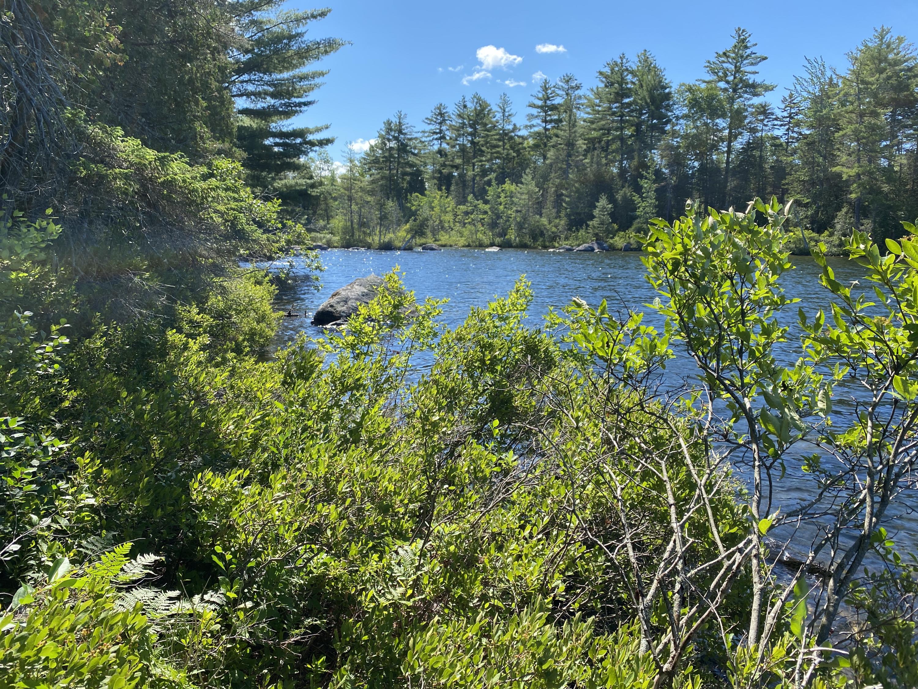 Lot 1 Off North Shore Rd Lake View Brownville, ME 04414 - Photo 3 of 9 IMG_0866
