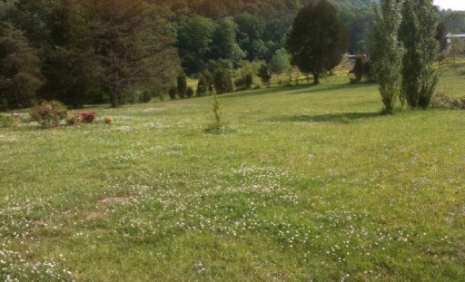 923 Raccoon Valley Road Maynardville, TN 37807 - Photo 1 of 1 Primary Photo