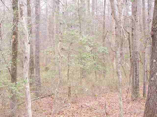 501 Airline Road Anderson, SC 29624 - Photo 3 of 6
