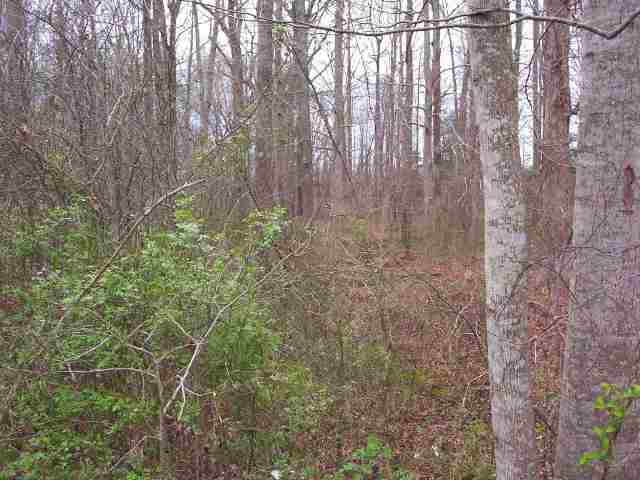 501 Airline Road Anderson, SC 29624 - Photo 6 of 6