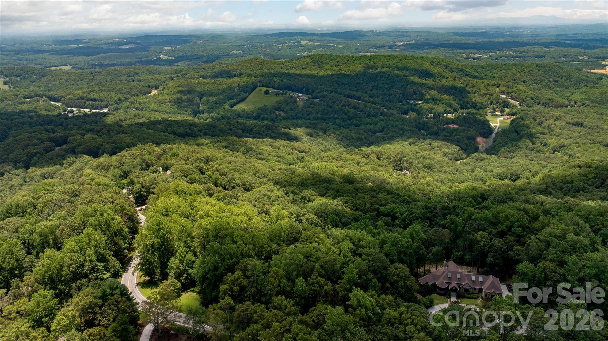 Lot 22 Plumley Summit Road, Unit 22 Landrum, SC 29356 - Photo 4 of 27