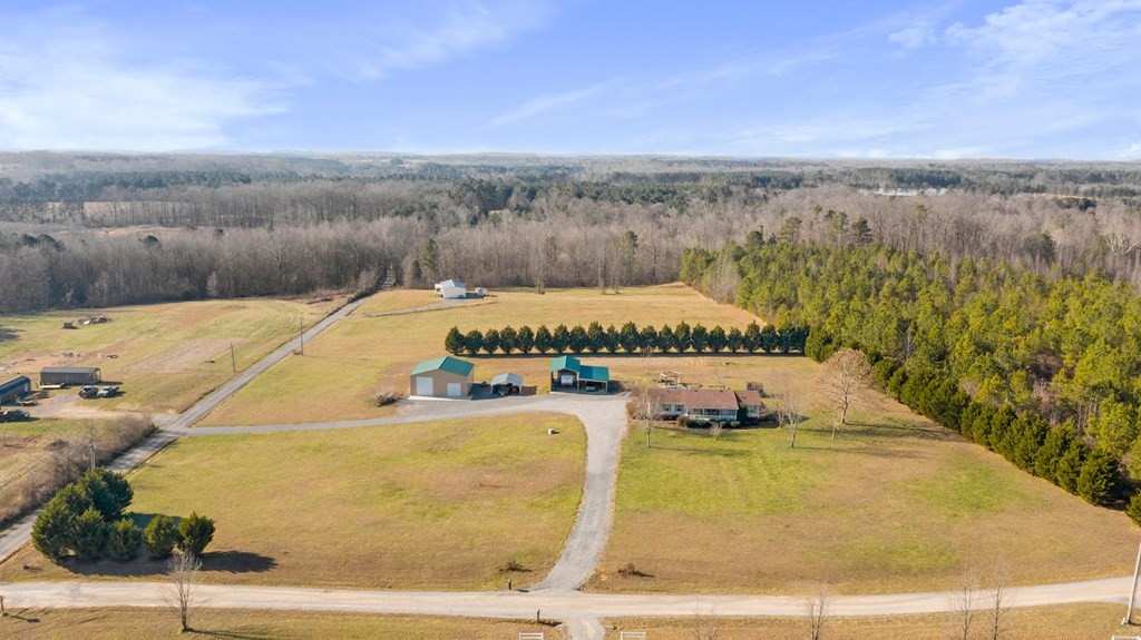 267 Browder Road Old Fort, TN 37362 - Photo 3 of 29
