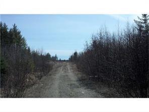 Off Greenfield Road Greenbush, ME 04418 - Photo 9 of 17 Photo