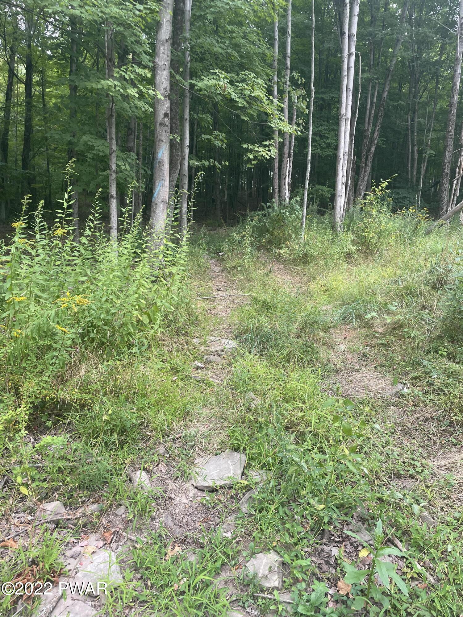 0 Siko Road Honesdale, PA 18431 - Photo 4 of 13
