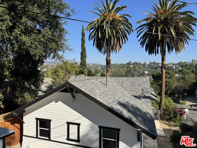 a palm tree sitting in front of a house