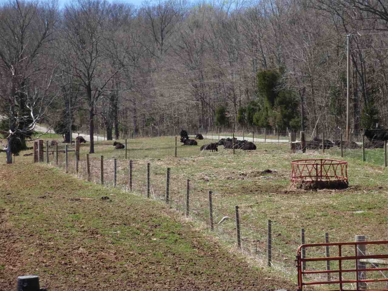 5250 Kings Ridge Road Mitchell, IN 47446 - Photo 23 of 28