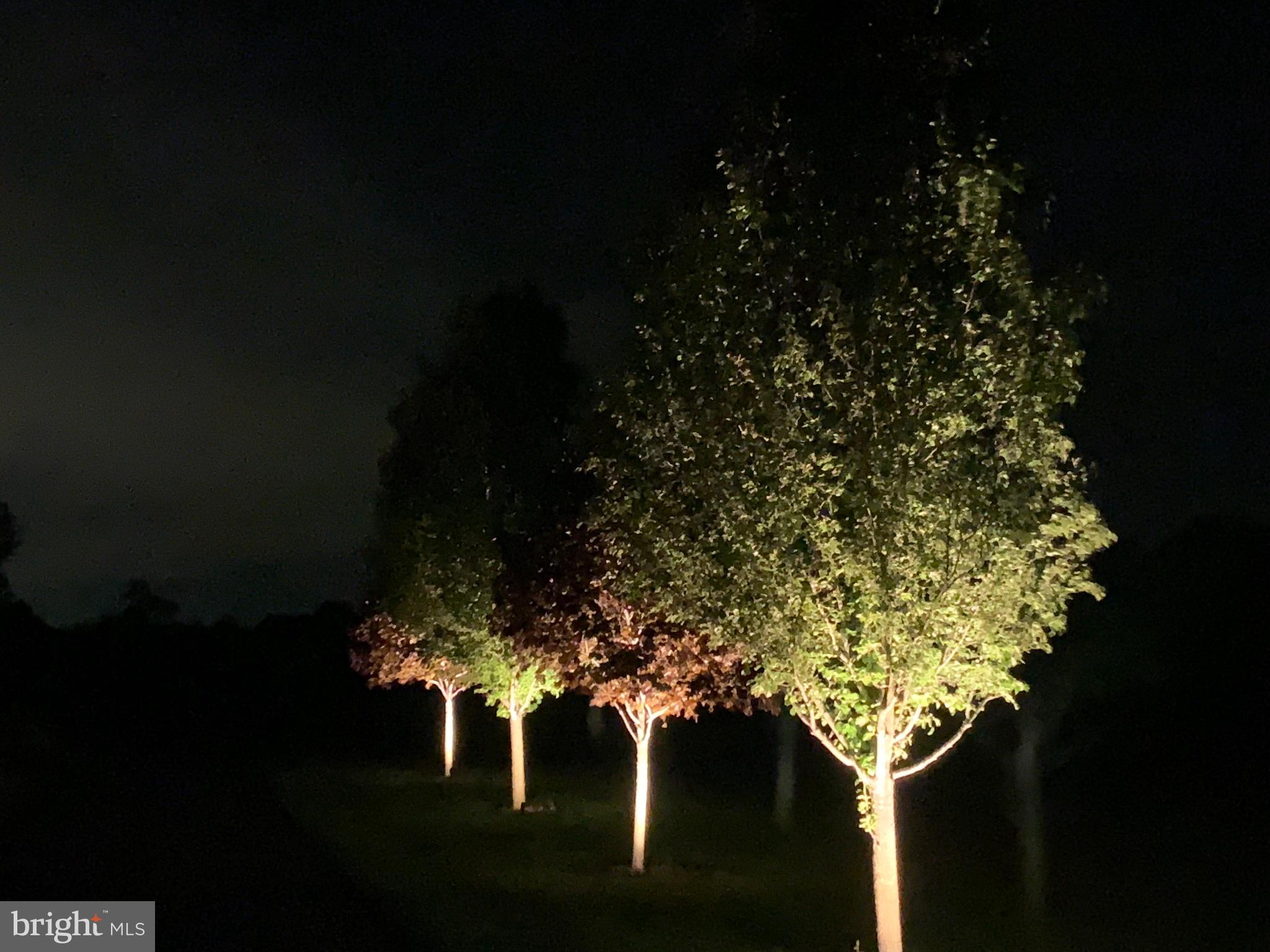 1823 Robinson Mill Road Darlington, MD 21034 - Photo 40 of 49 LANDSCAPING LIGHTS