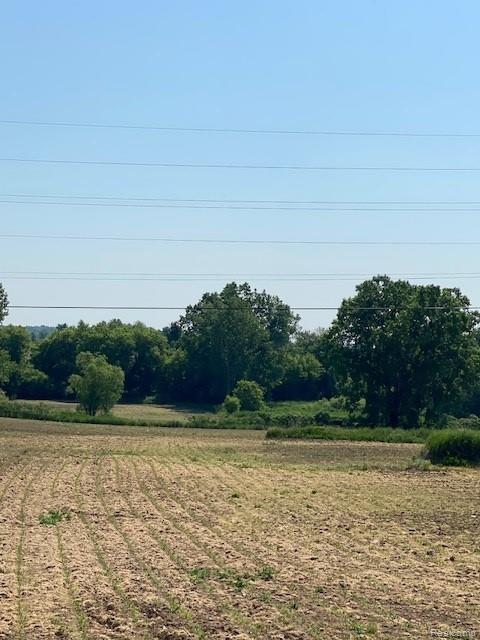 7451 Fostoria Road Mayville, MI 48744 - Photo 15 of 41