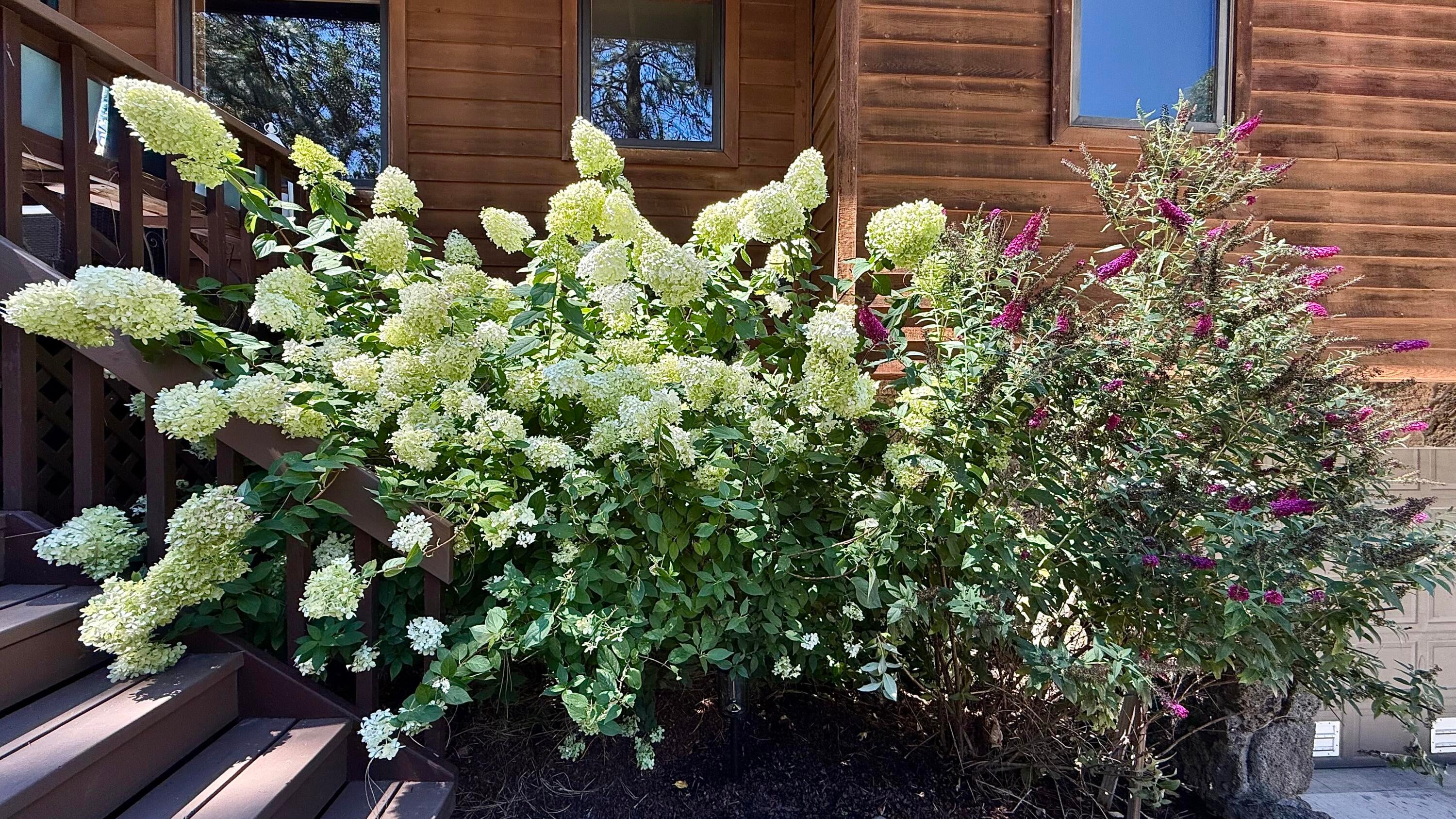 975 Old Ferry Road Shady Cove, OR 97539 - Photo 67 of 100 Beautiful landscaping