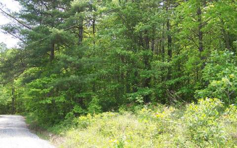 5 Hawks Claw Road Morganton, GA 30560 - Photo 1 of 1 Main View